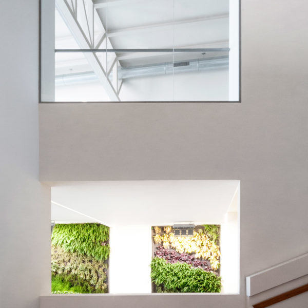 13-221-ESCALERA-DSC_7959