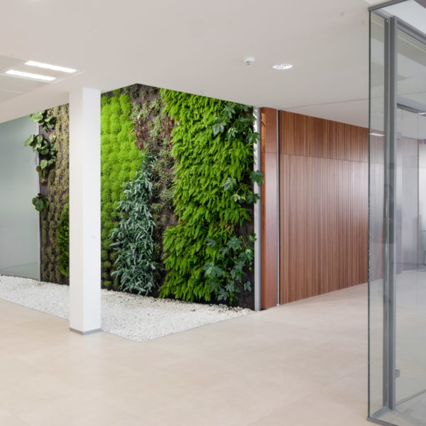13-221-MURO-VEGETAL-_3-DSC_7985