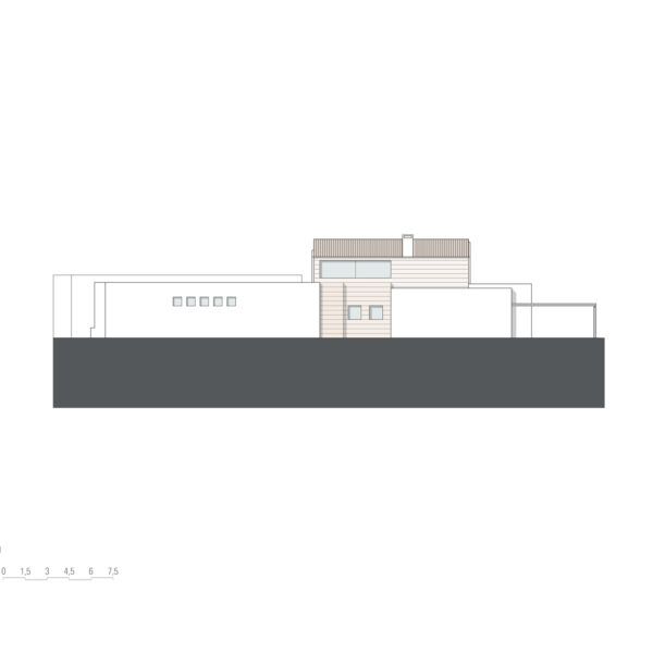 ALZADO-1WEB