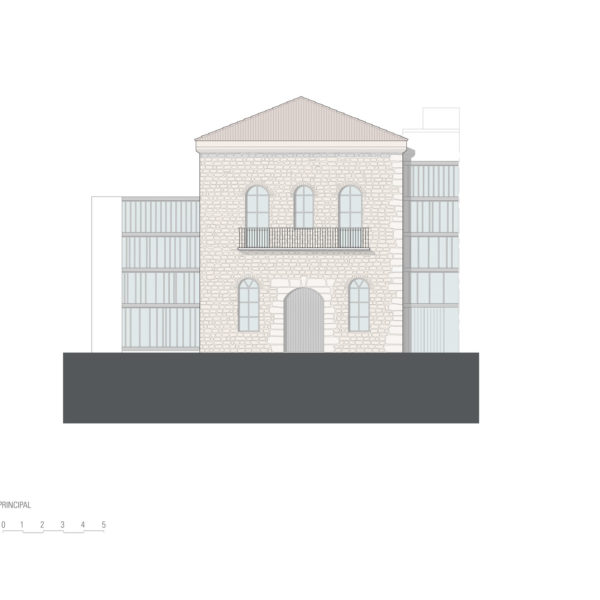 ALZADO-PRINCIPALWEB-1