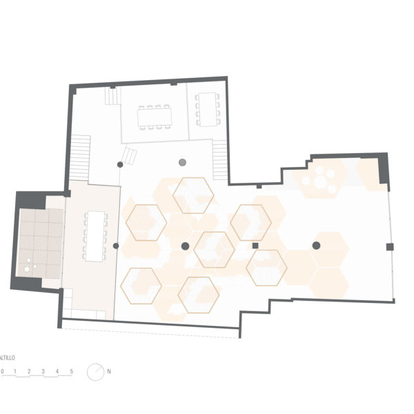PLANTA-ALTILLOWEB