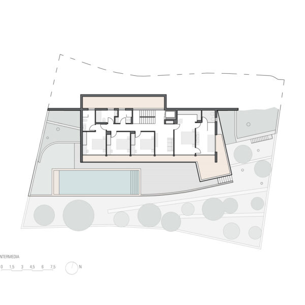 PLANTA-INTERMEDIA-WEB