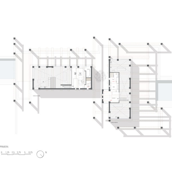 PLANTA-PRIMERAWEB-1