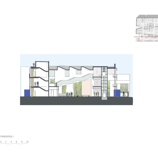 SECCION-TRANSVERSAL-1