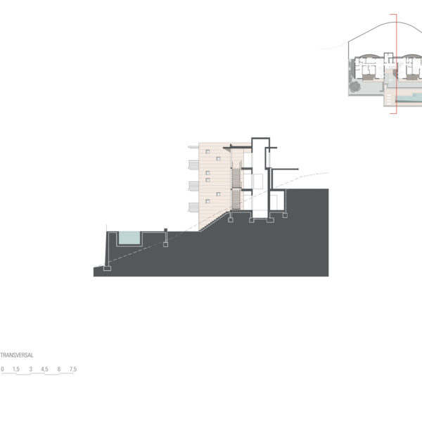 SECCIÓN-TRANSVERSAL-WEB (1)